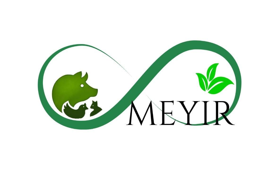 MEYIR